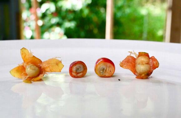 Premium Coffee selling Special Blend Coffee and Decaf Coffee